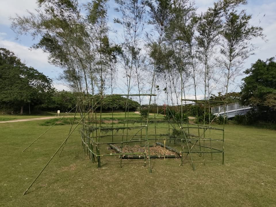 草地上還沒綁上白布條的竹架